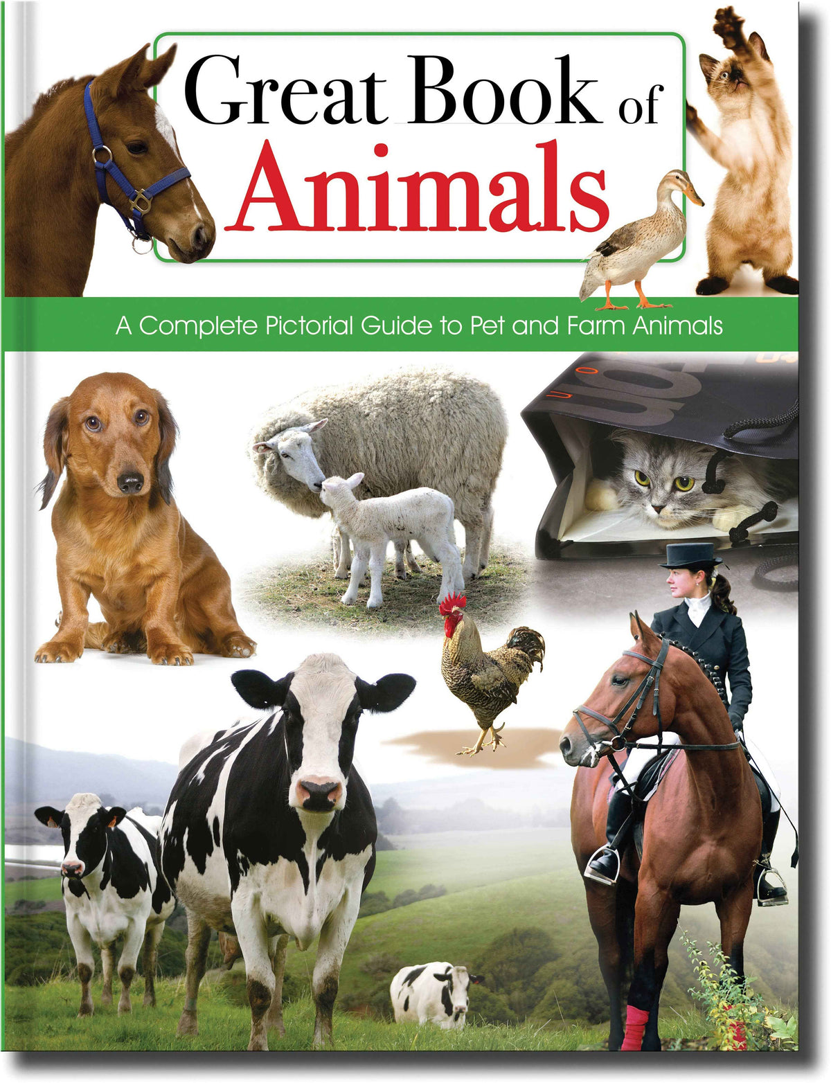 Great Book of Animals