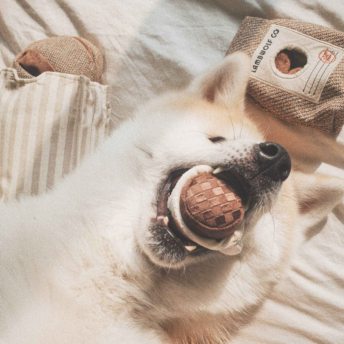 Espresso Pop Enrichment Dog Toy