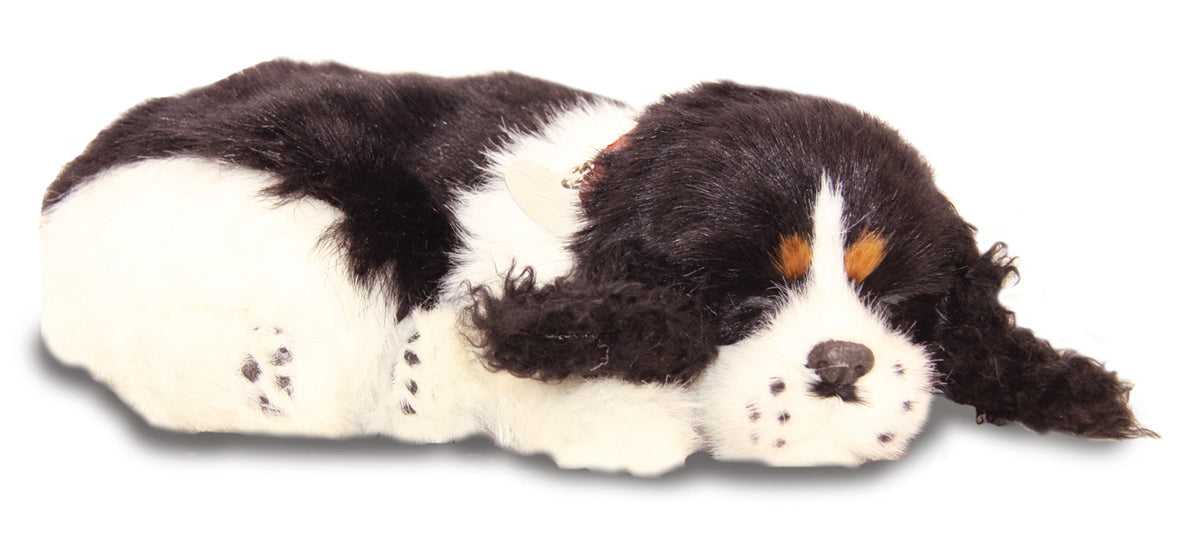 Precious Petzzz - Ollie the Cocker Spaniel
