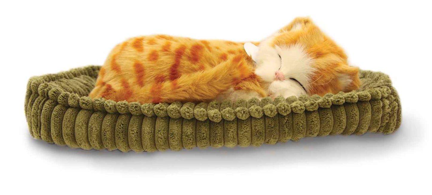 Precious Petzzz Ginger Cat