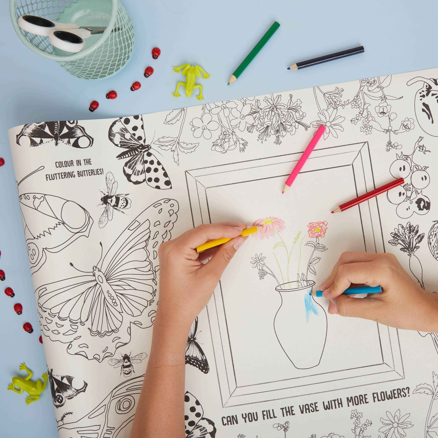 RHS Colouring Roll and Pencils White, 3 Meters Bugs and Blooms