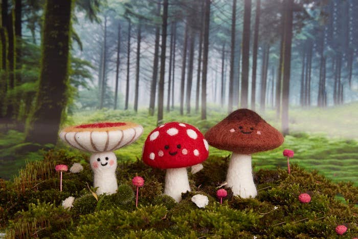 Simply Make Toadstools Needle Felting Kit