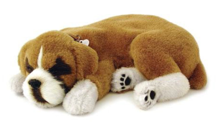 Precious Petzzz - Cooper the Boxer