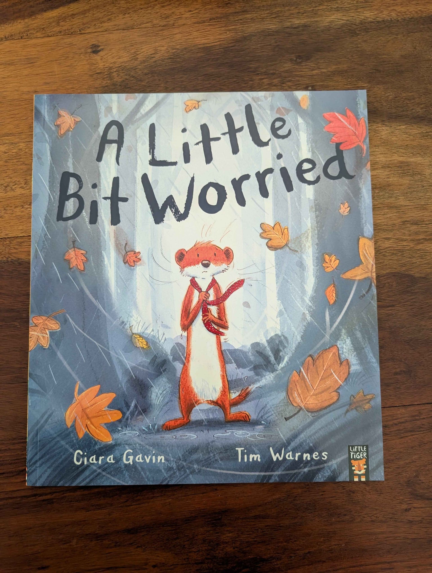 Understanding Emotions Children's Story Books