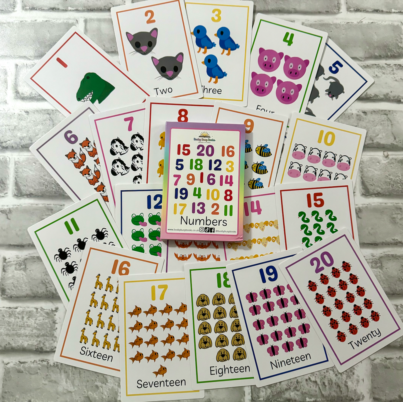 Educational Flashcard Bundle
