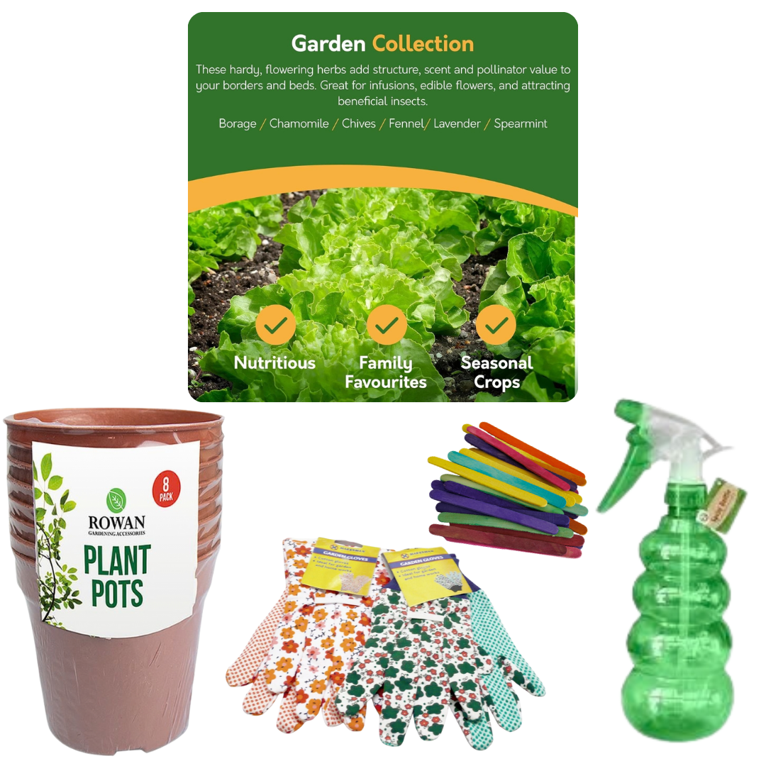 Sow & Grow Herb Gardening Kit