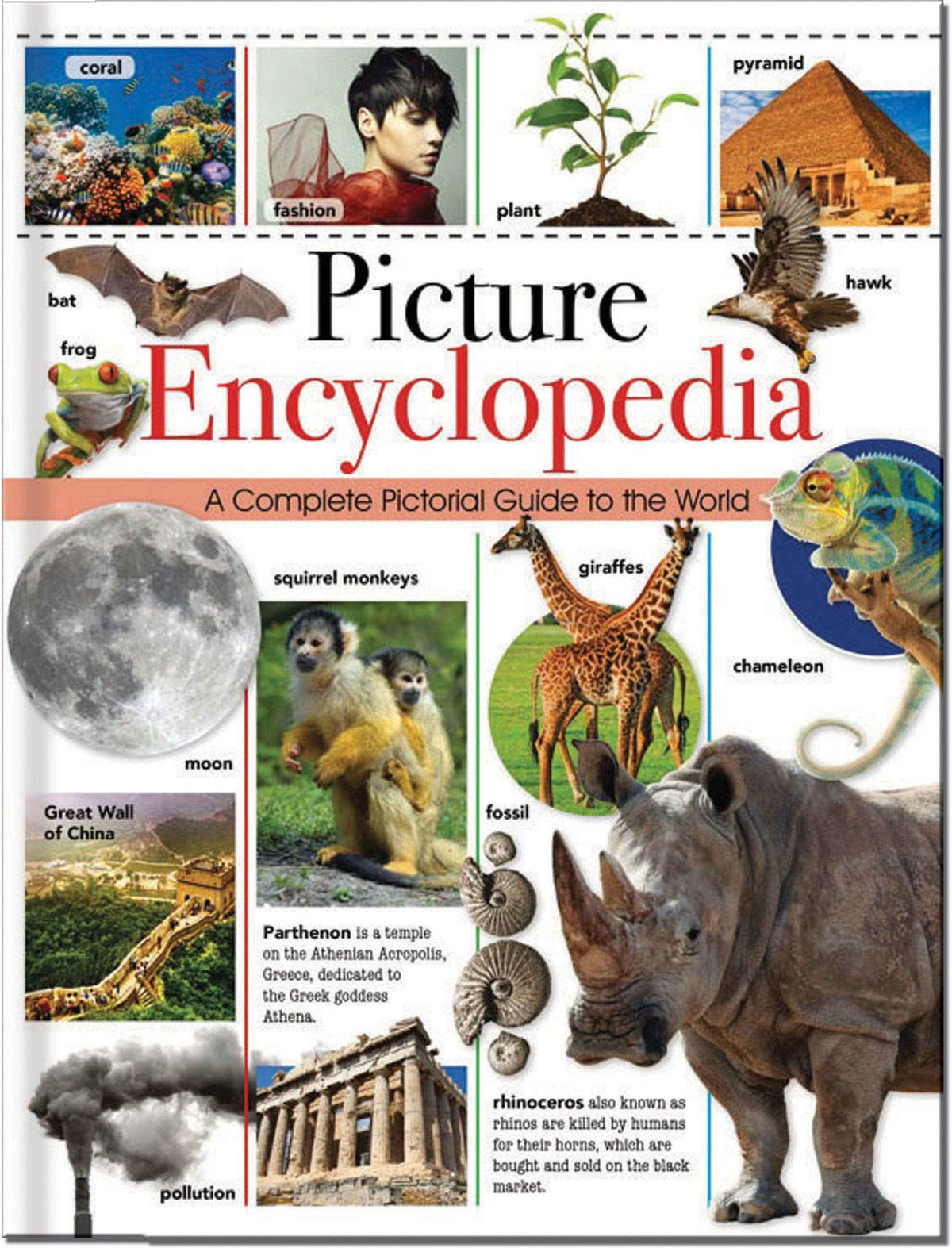 Picture Encyclopaedia: A Complete Pictorial Guide to the World