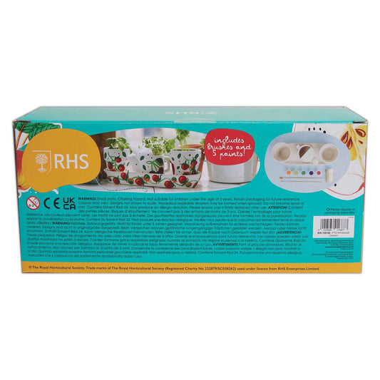 RHS Paint Your Own Windowsill Garden Kit