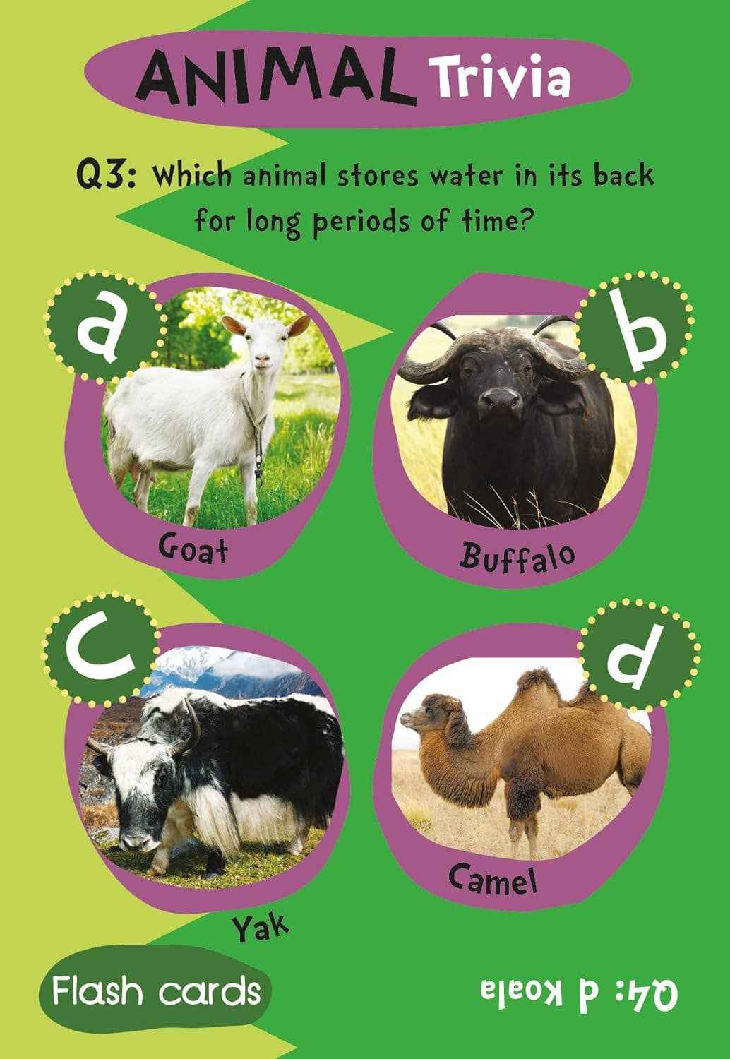 Children's Animal Trivia Flash Cards
