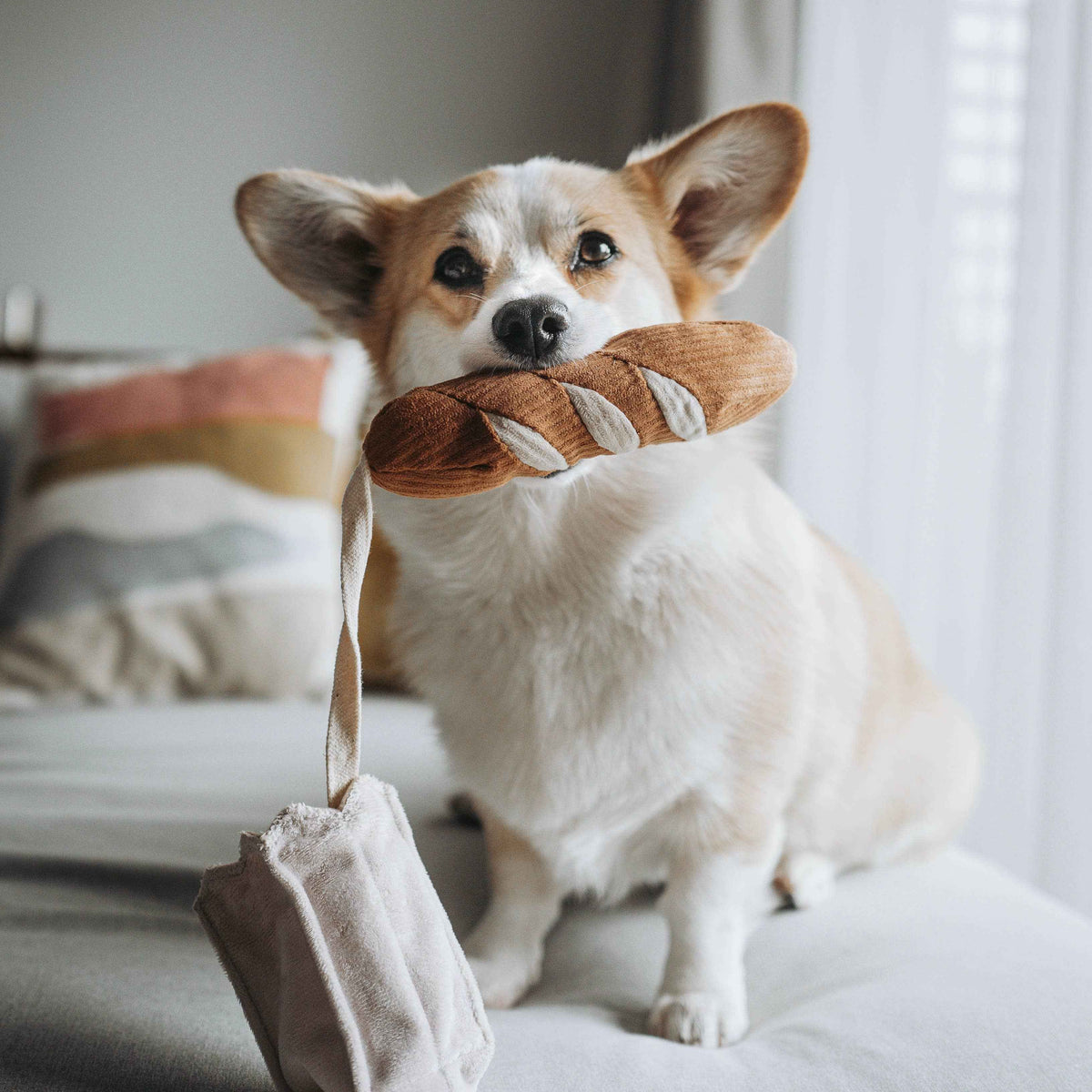 Mini Baguette enrichment dog toy
