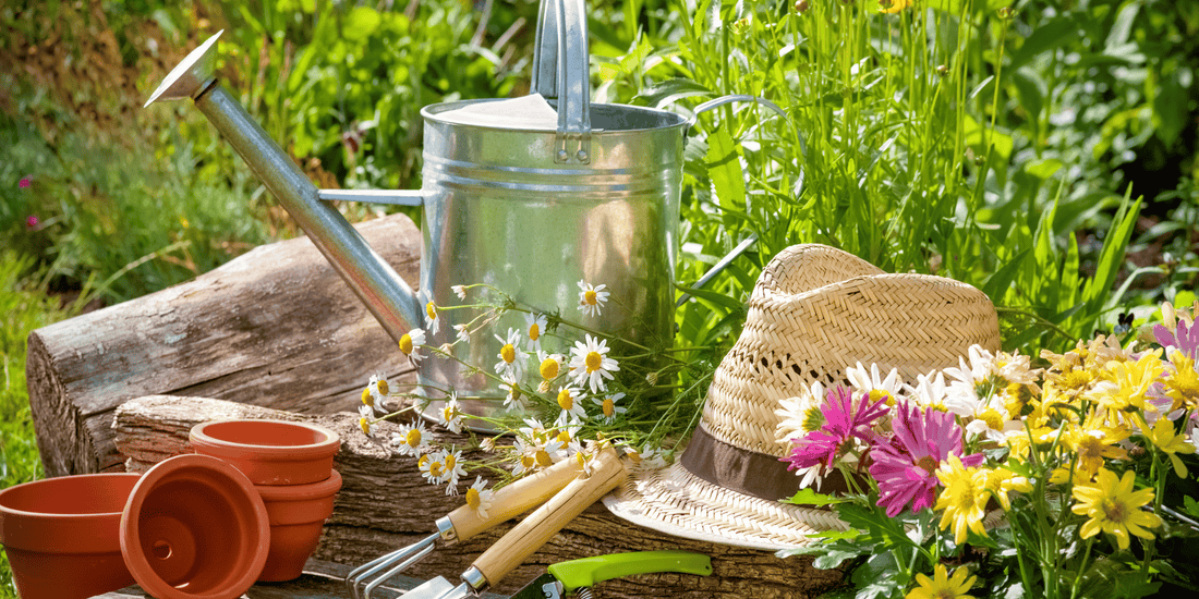 Bringing Activities Outdoors