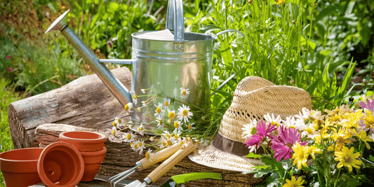 Bringing Activities Outdoors