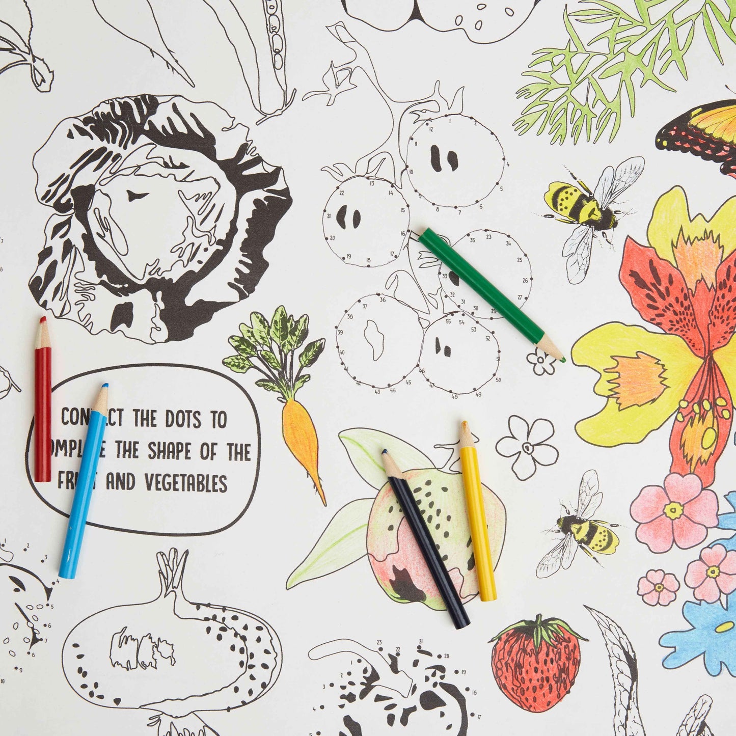 RHS Colouring Roll and Pencils White, 3 Meters Bugs and Blooms