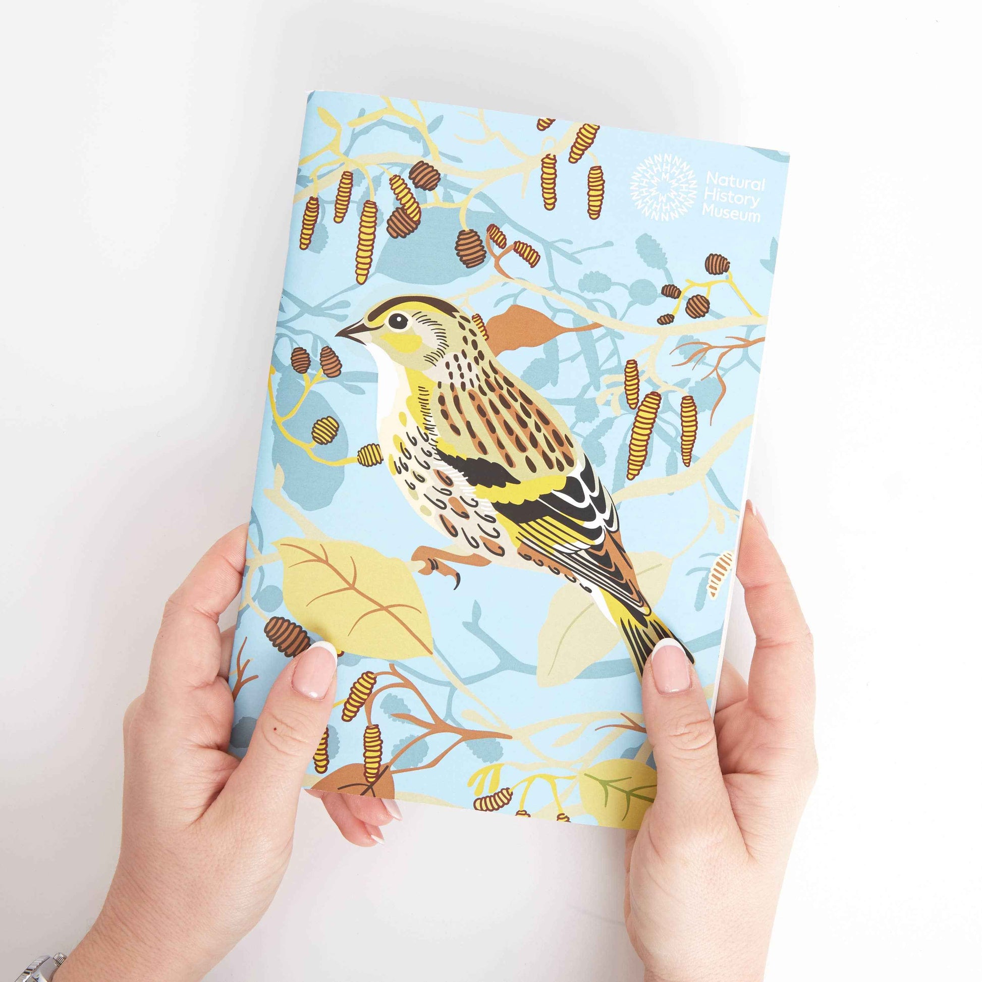 Natural History Museum A5 Sketchbooks, 3 Pack British Birds