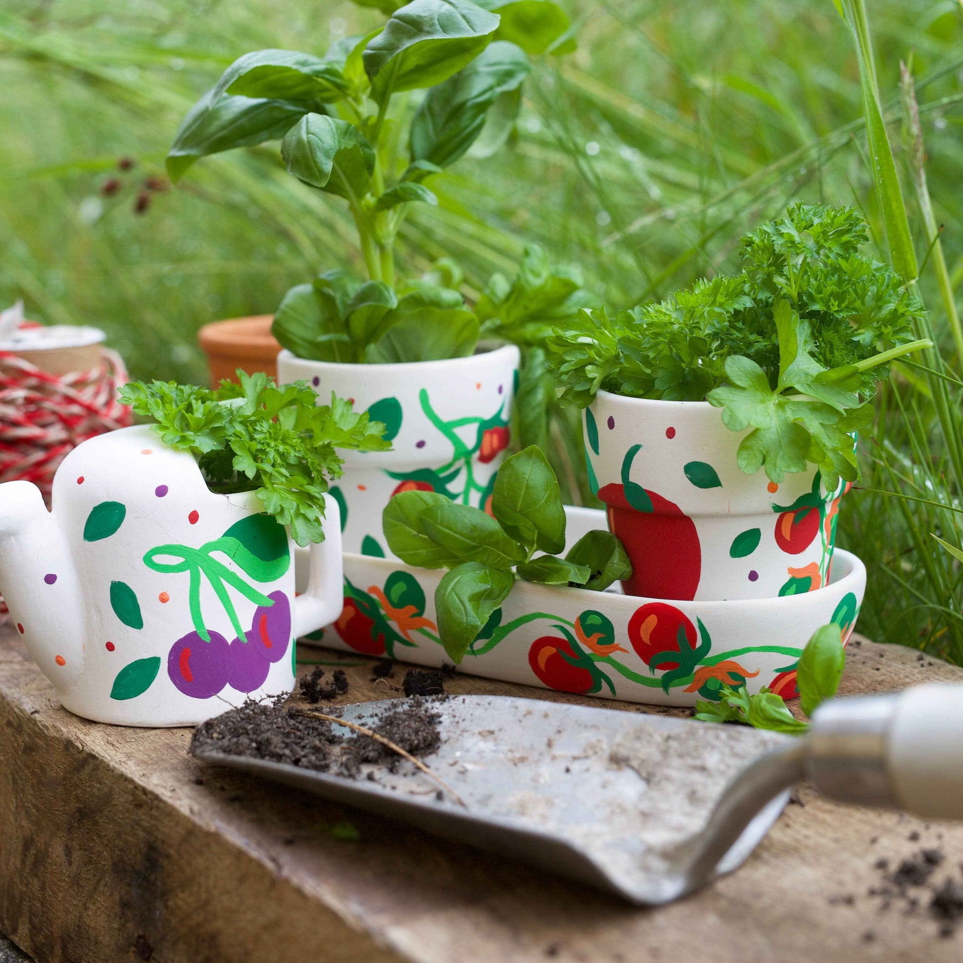 RHS Paint Your Own Windowsill Garden Kit