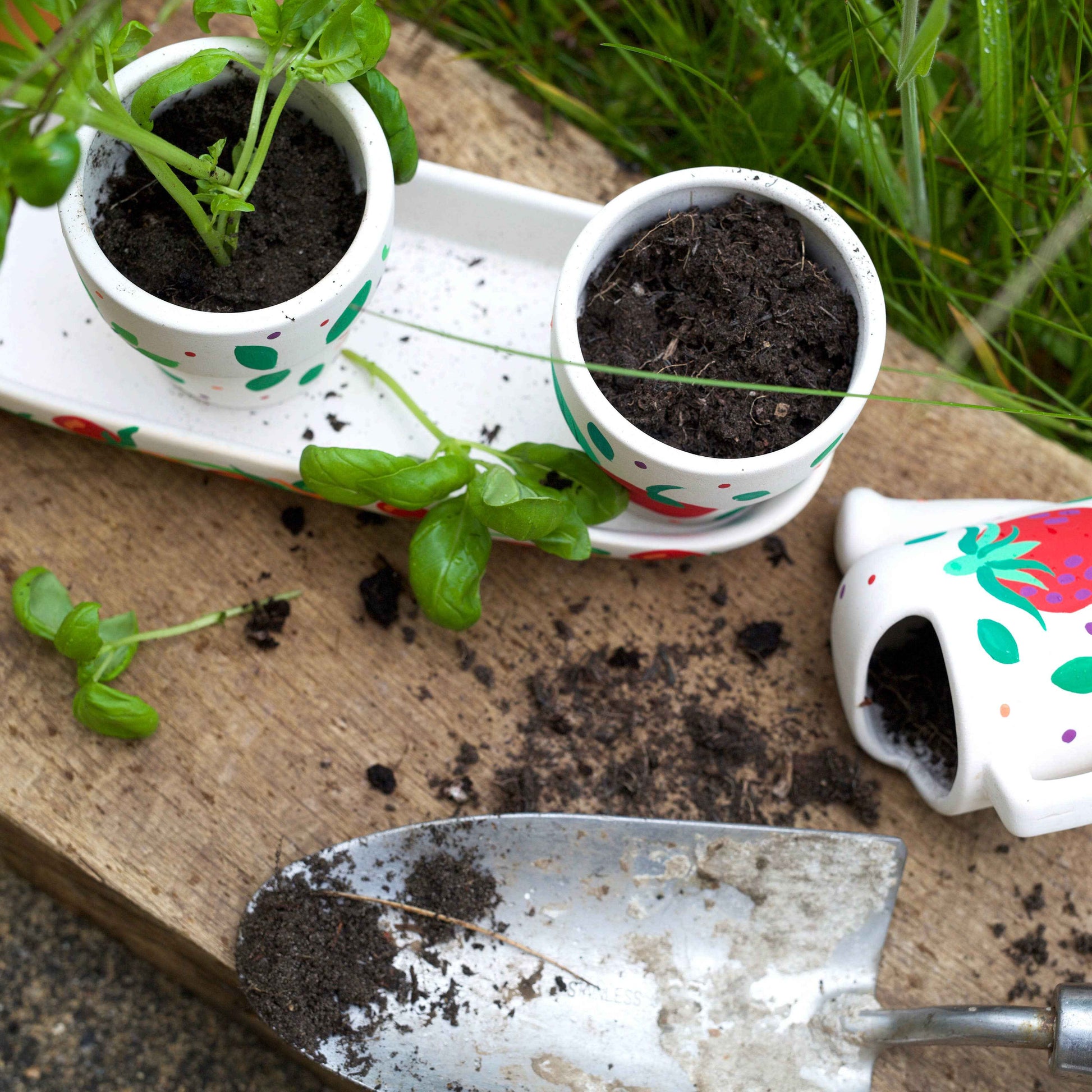 RHS Paint Your Own Windowsill Garden Kit