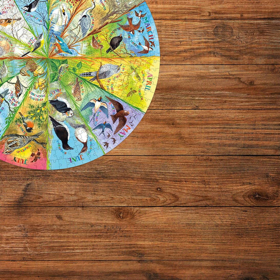 RSPB Birds of the Year 500 Piece Circular Jigsaw Puzzle