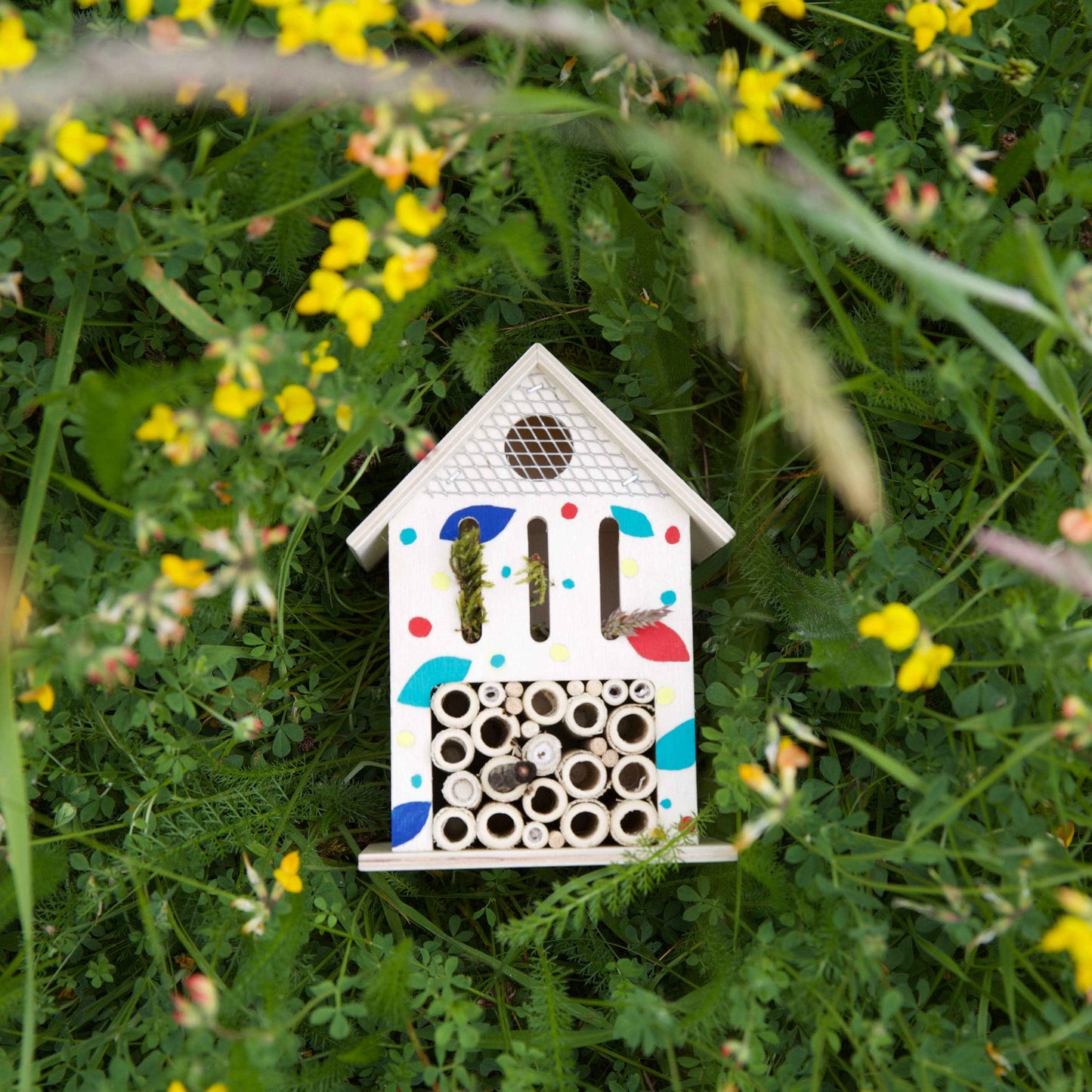 RHS Paint Your Own Bug Hotel Kit