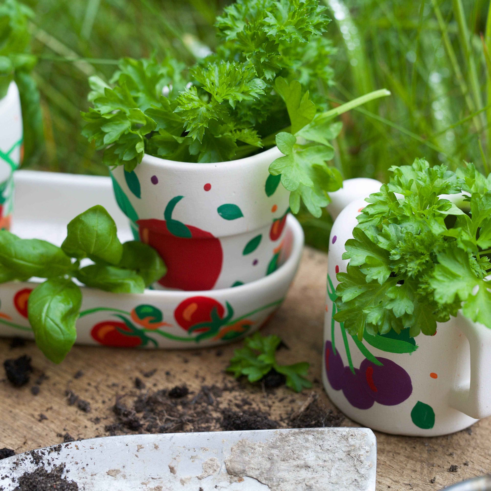 RHS Paint Your Own Windowsill Garden Kit