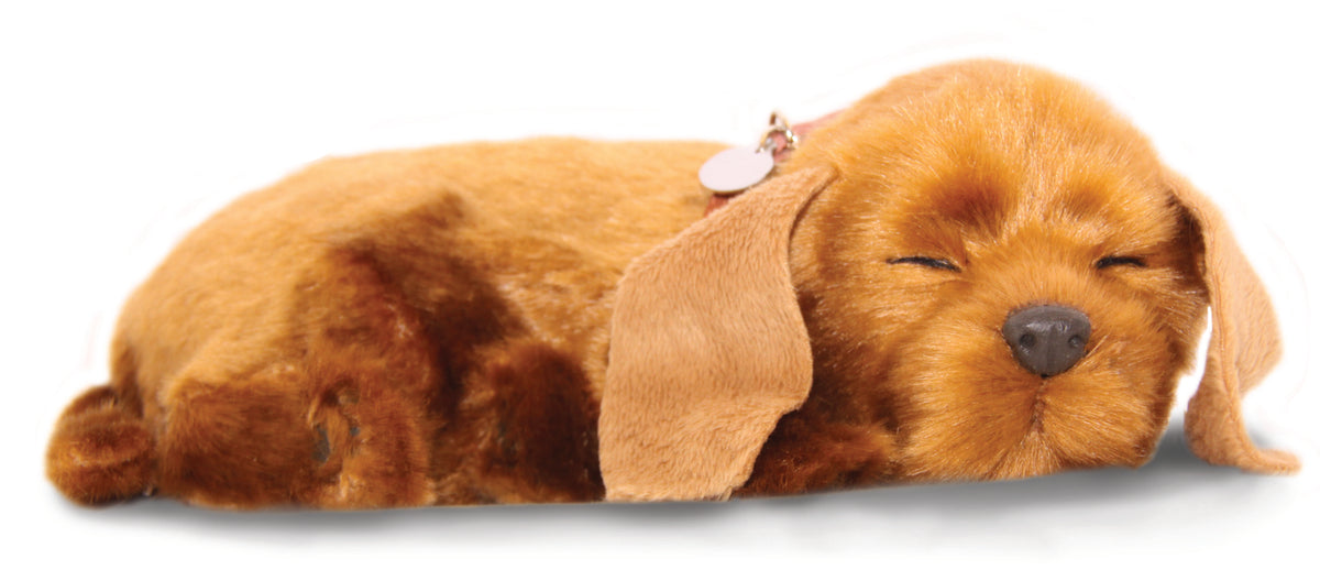 Precious Petzzz - Mable the Mutt