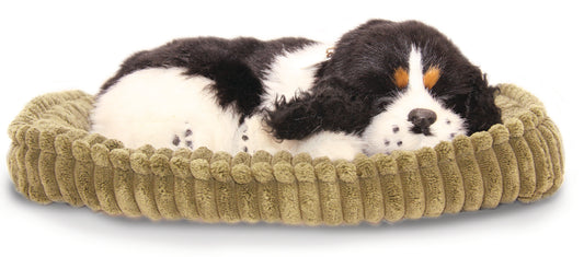 Precious Petzzz - Ollie the Cocker Spaniel