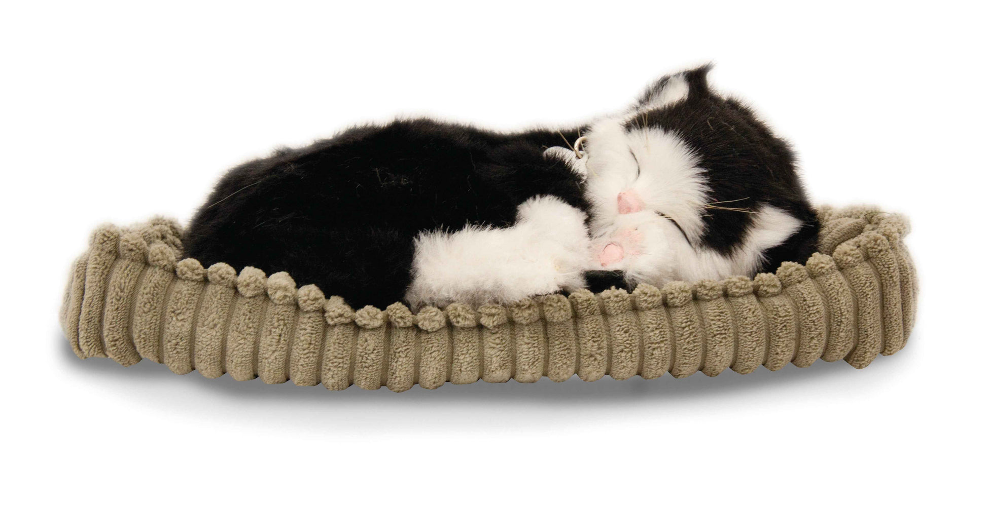 Precious Petzzz Black & White Cat