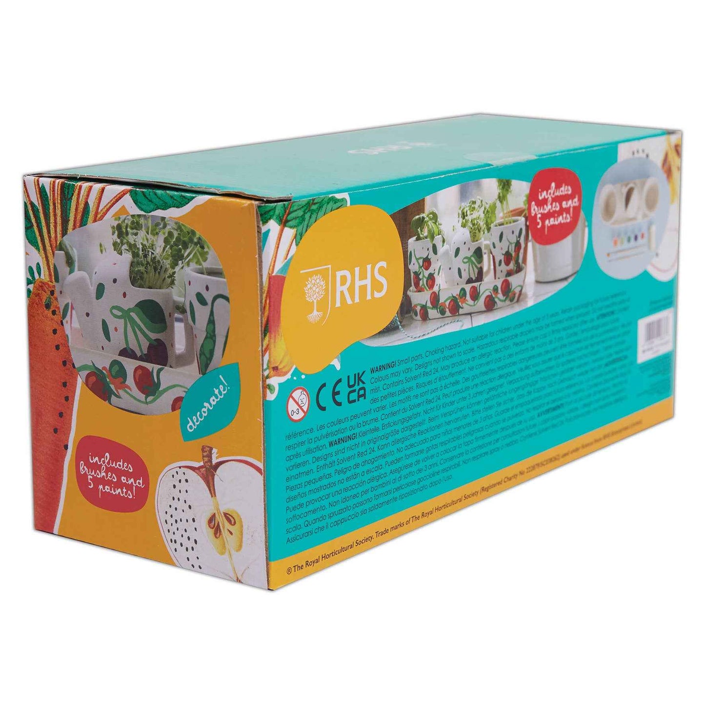RHS Paint Your Own Windowsill Garden Kit