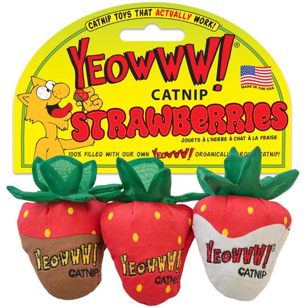 Yeowww! Strawberries - Organic Catnip