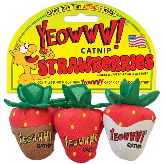 Yeowww! Strawberries - Organic Catnip