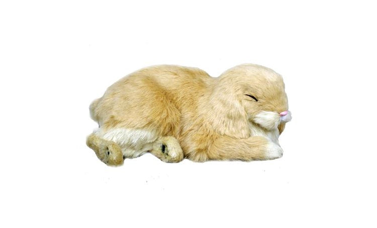 Precious Petzzz - Lola the Mini Lop Eared Rabbit