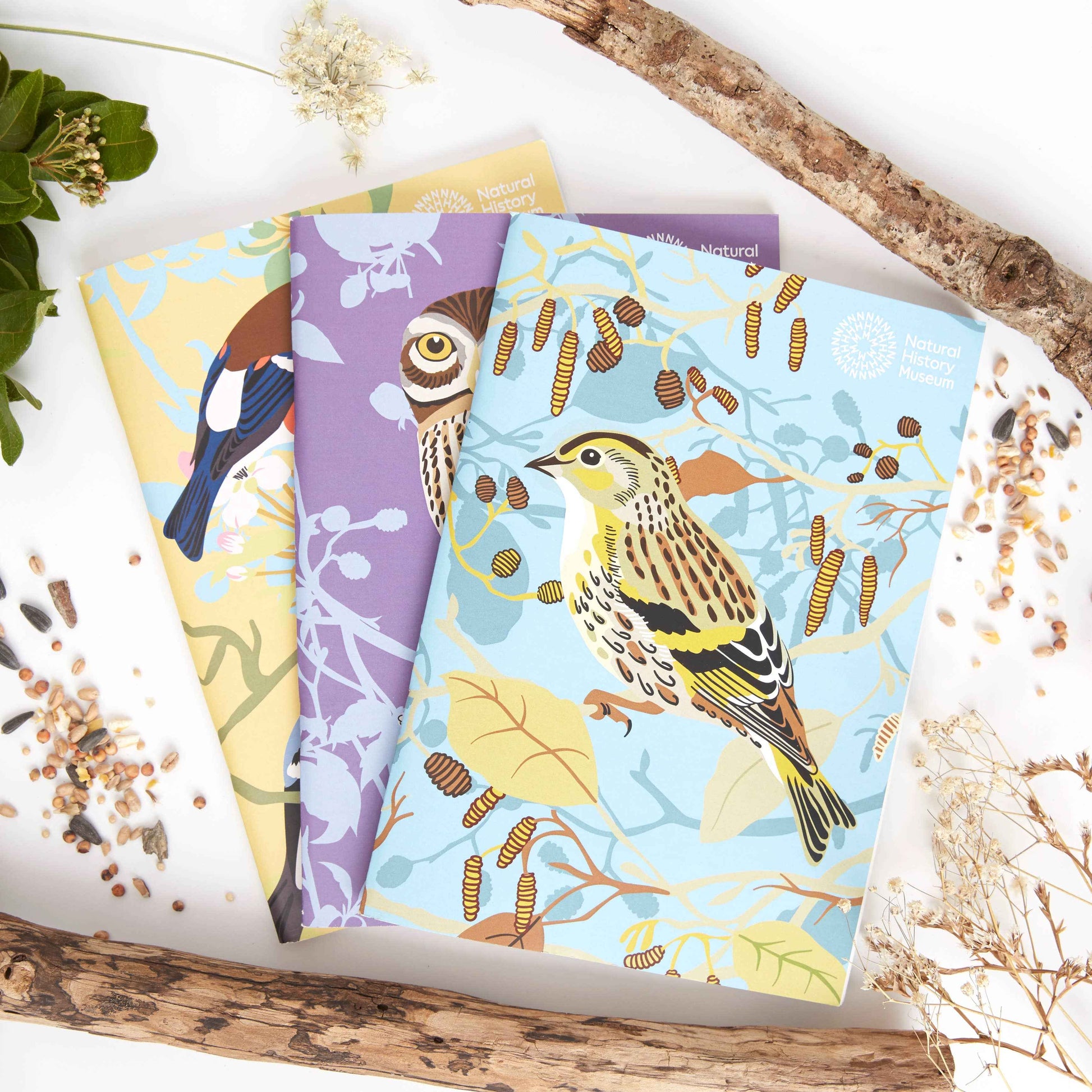 Natural History Museum A5 Sketchbooks, 3 Pack British Birds