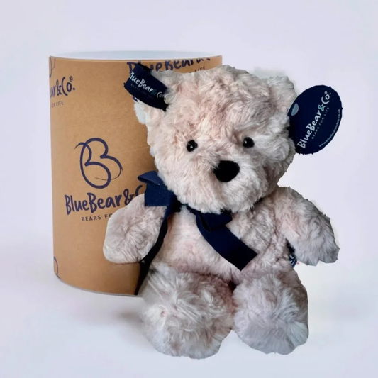 Blue Bear & Co Pink Bear - Comfort Teddy Bear