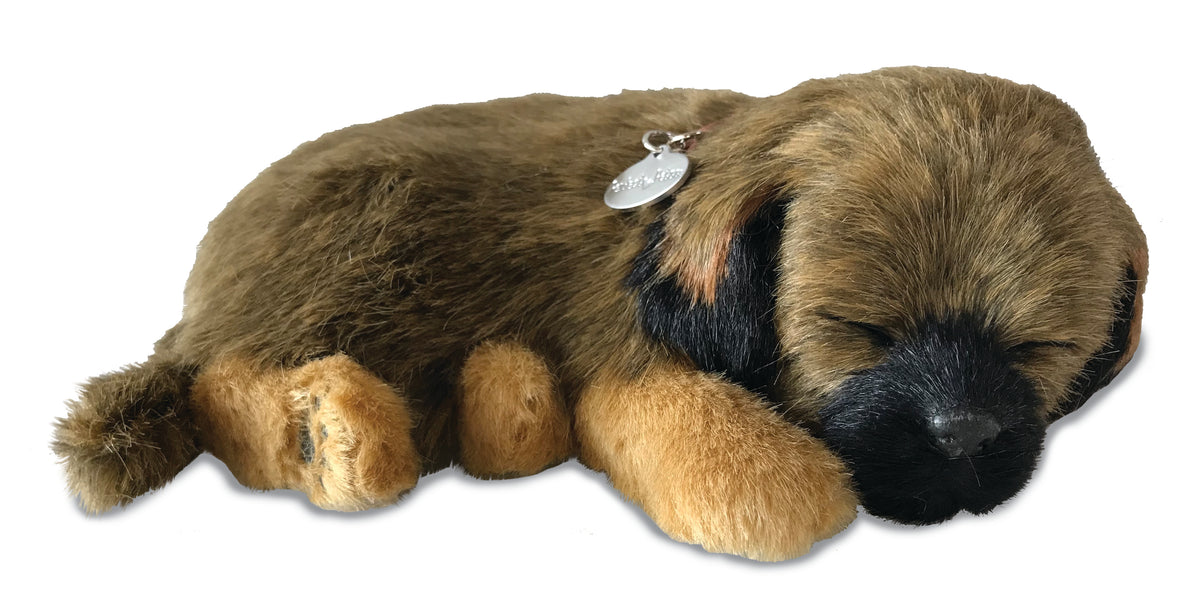 Precious Petzzz - Bonnie the Border Terrier