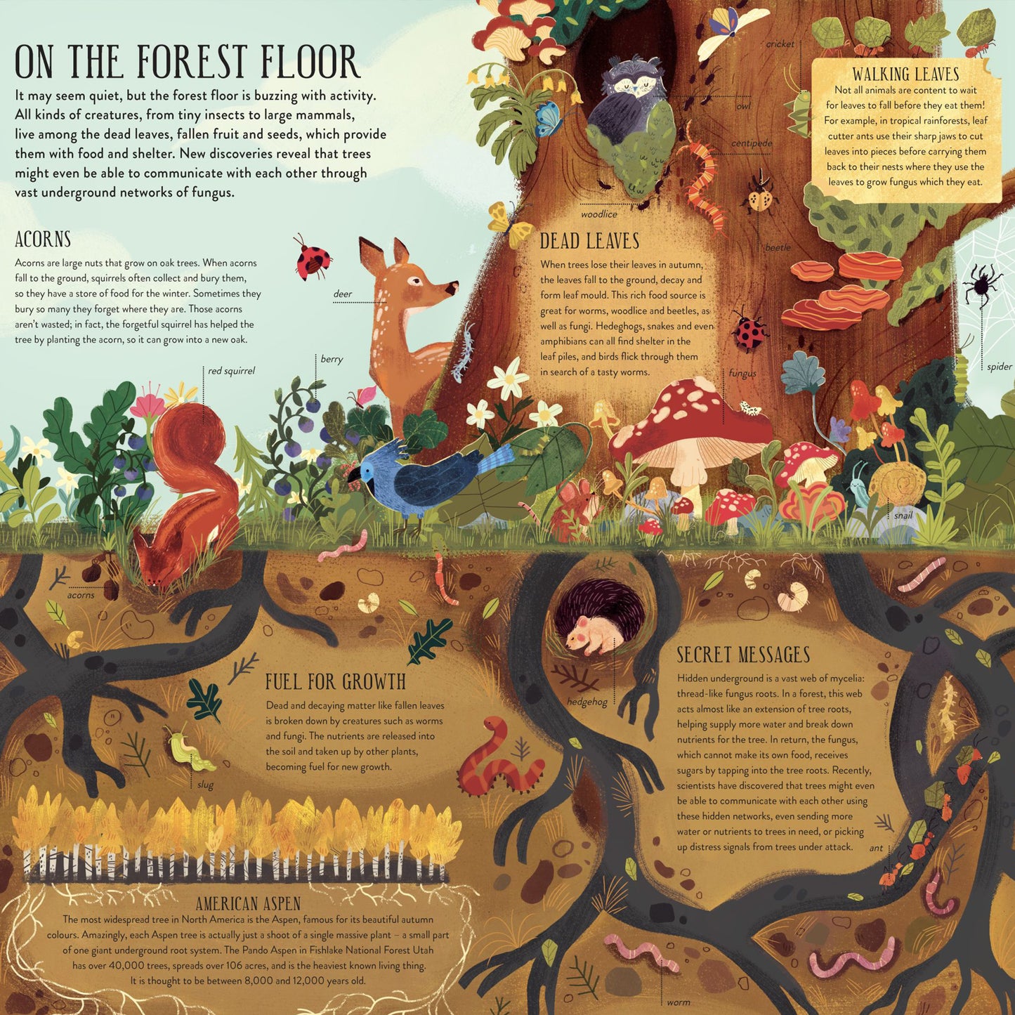 Build a Tree Model Kit