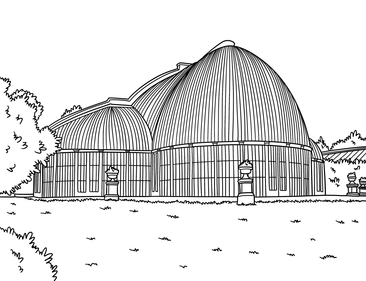 Devon Colouring Book (A4)