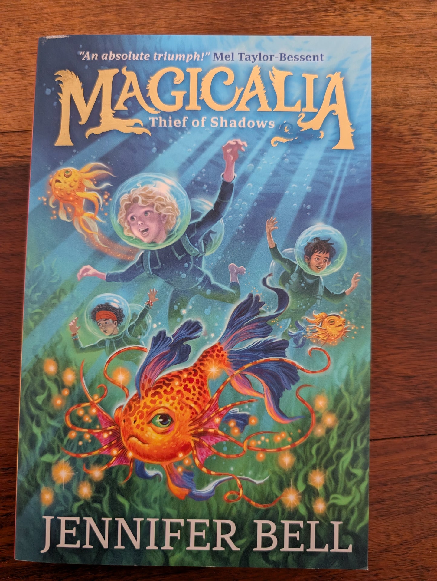 Adventure Story Books