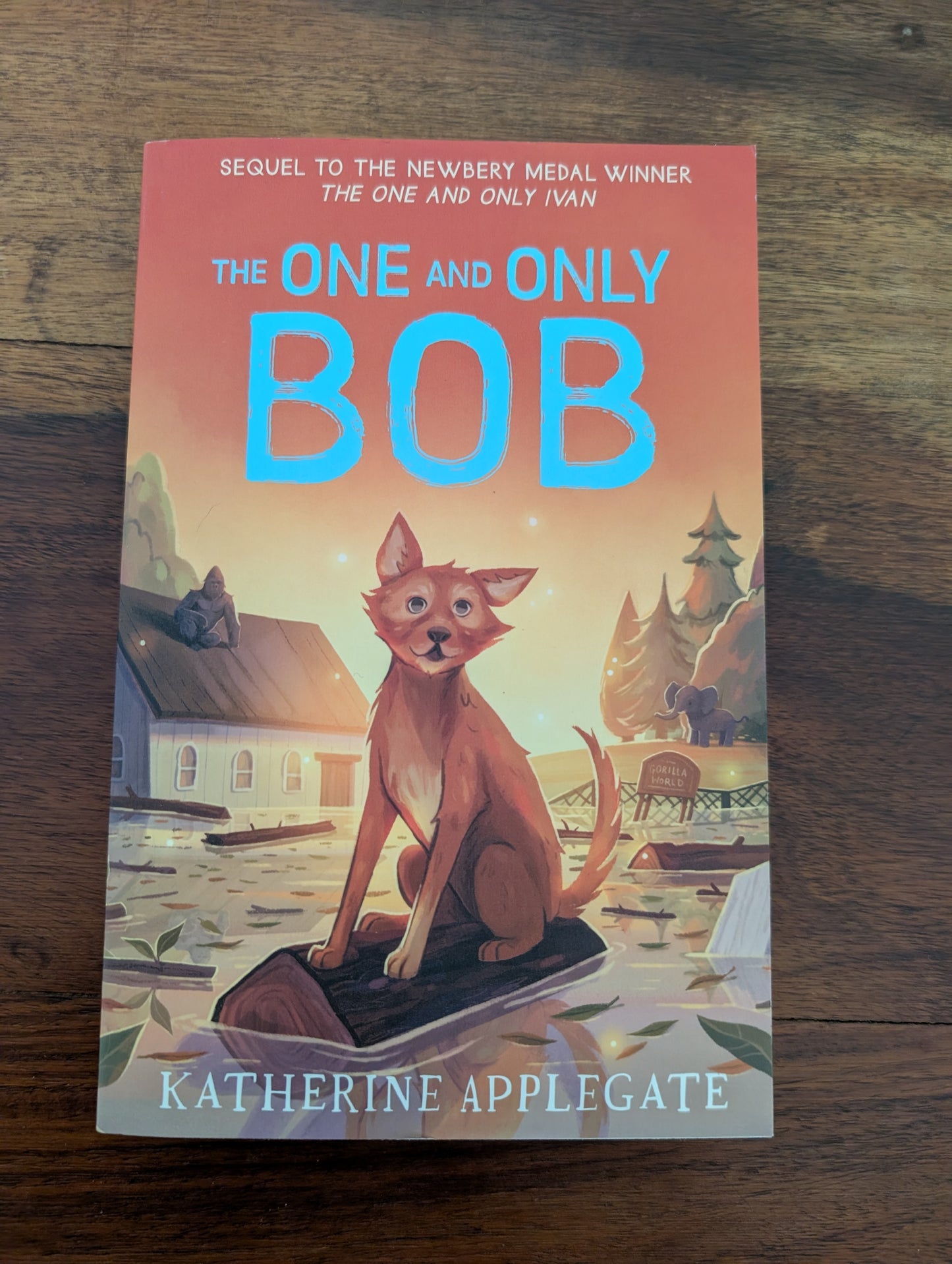 Adventure Story Books