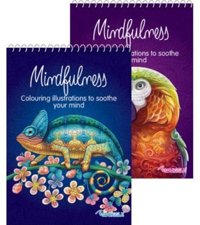 Spiral Bind Mindfulness Colouring Books Pk2
