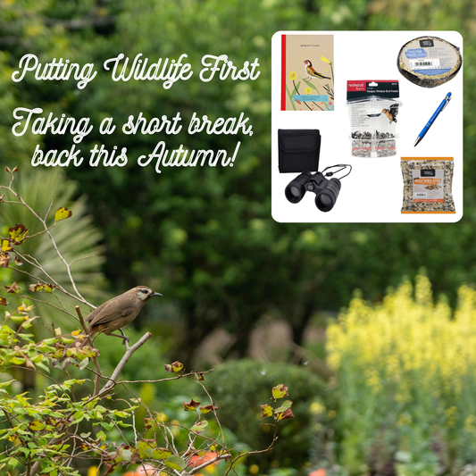 Bird & Wildlife Twitchers Scope