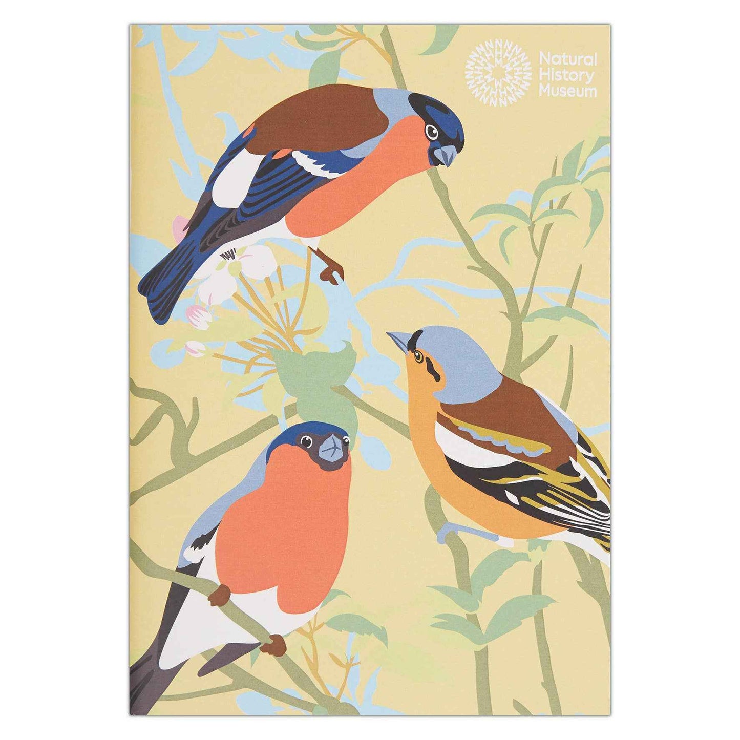Natural History Museum A5 Sketchbooks, 3 Pack British Birds