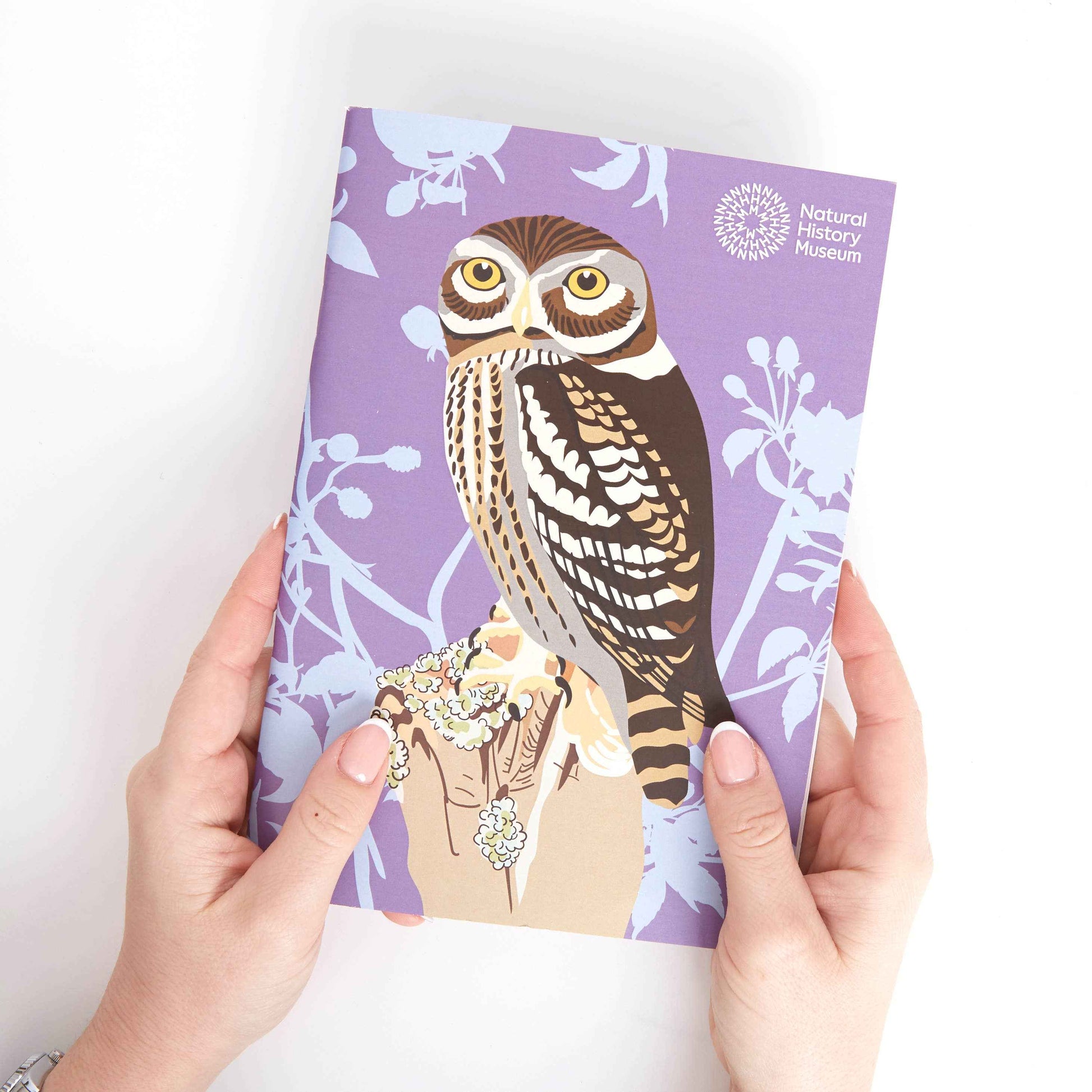 Natural History Museum A5 Sketchbooks, 3 Pack British Birds