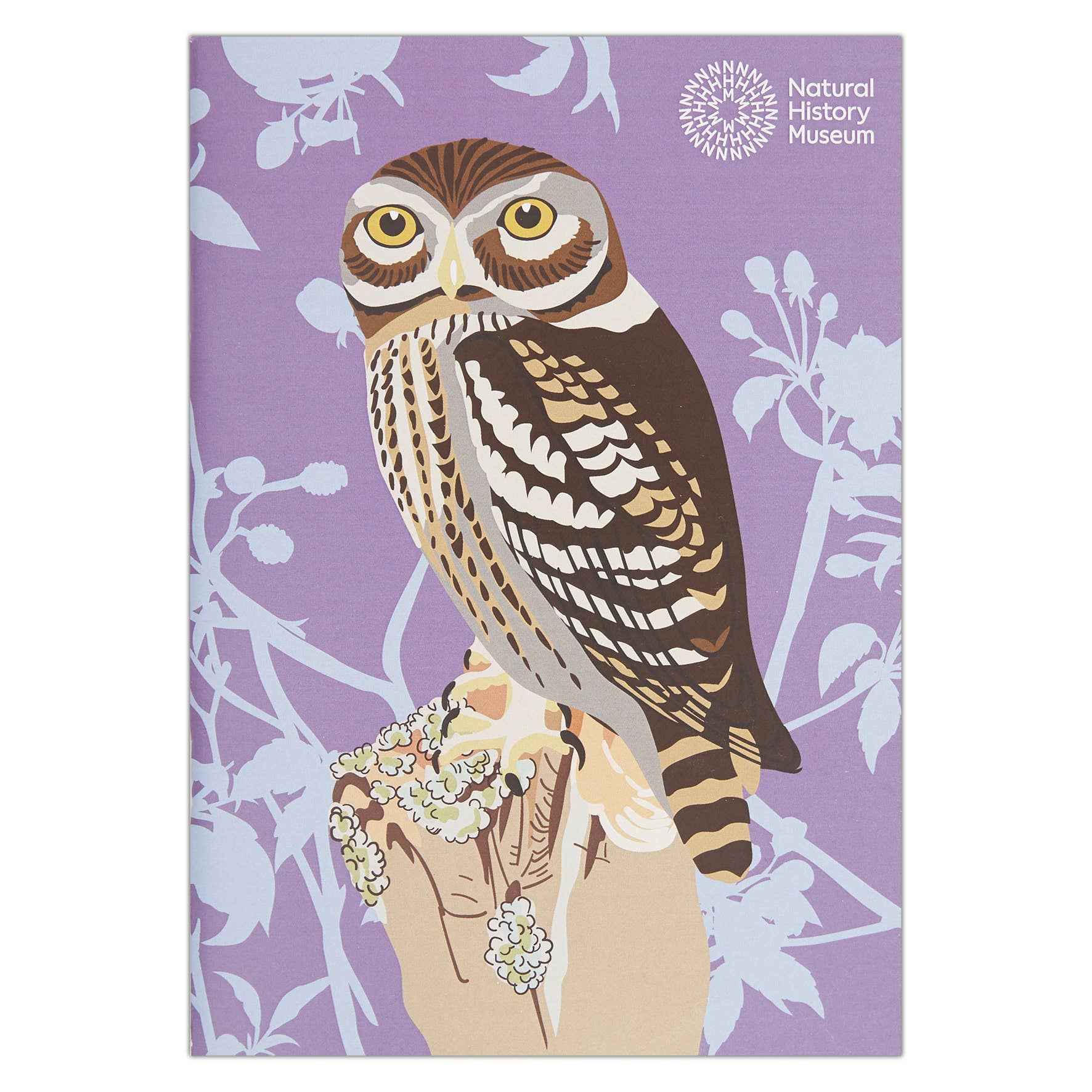 Natural History Museum A5 Sketchbooks, 3 Pack British Birds