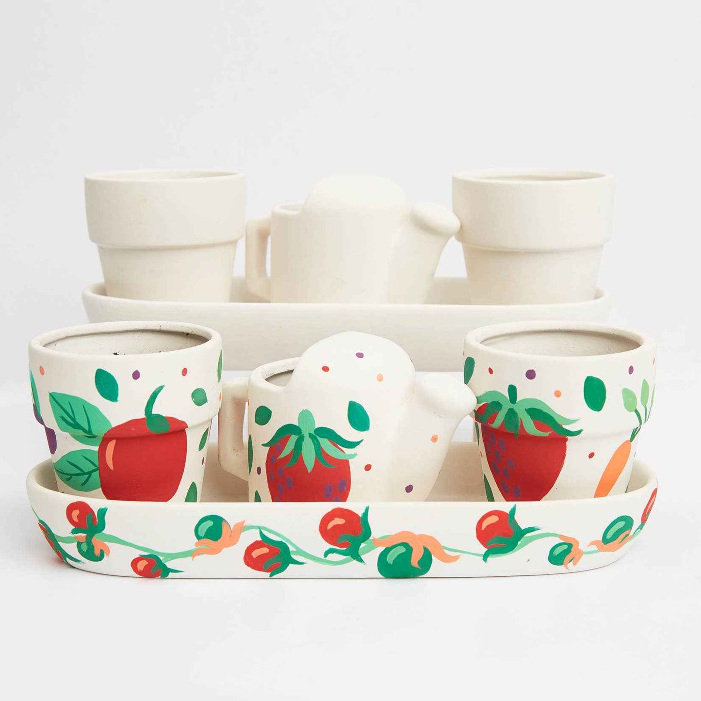 RHS Paint Your Own Windowsill Garden Kit