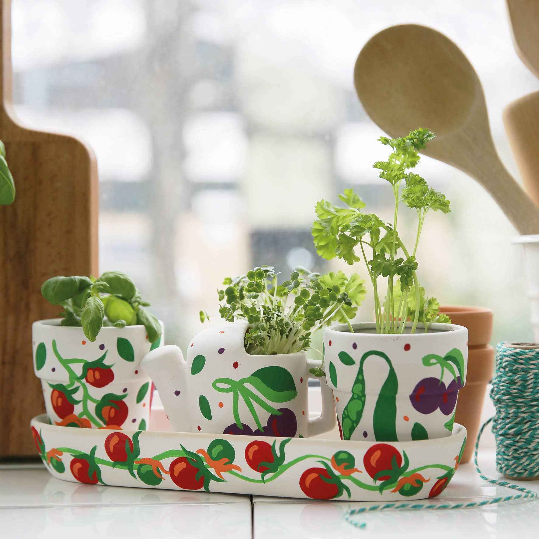 RHS Paint Your Own Windowsill Garden Kit