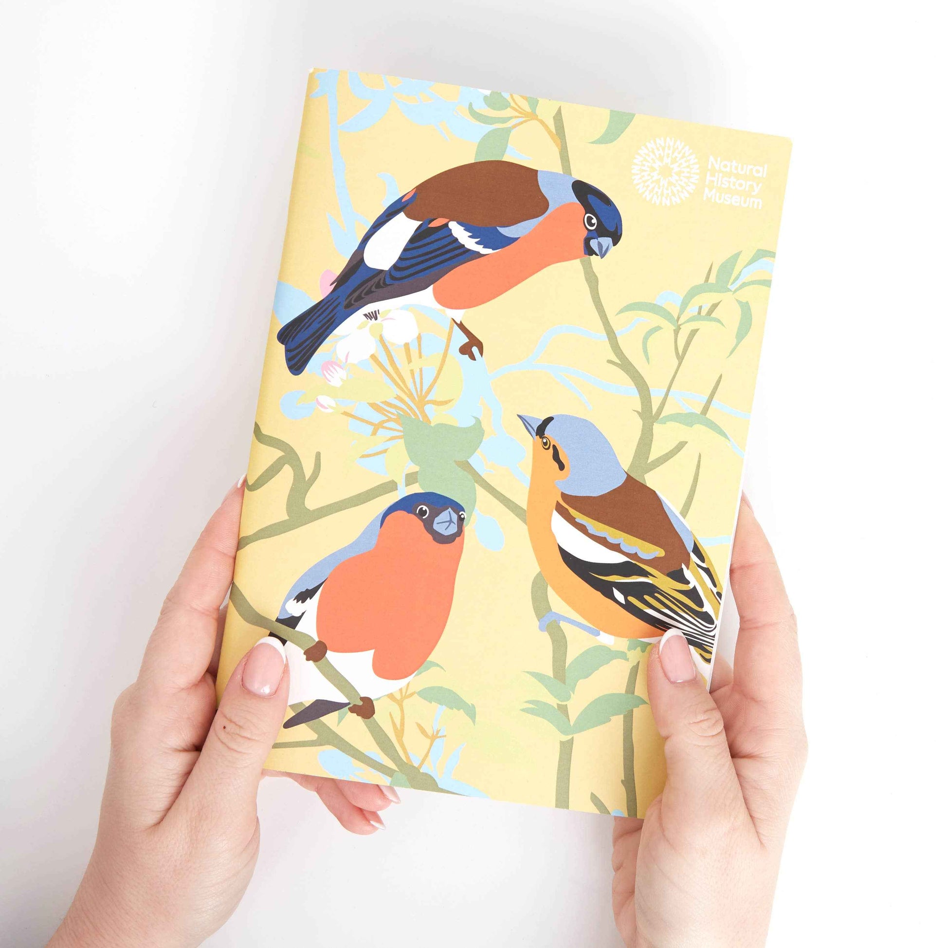 Natural History Museum A5 Sketchbooks, 3 Pack British Birds