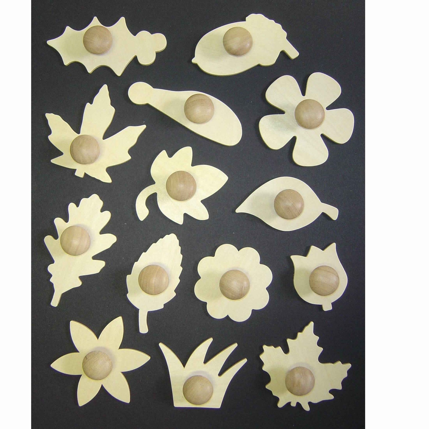 Wooden Leaf and Flower Stencils Pack of 14