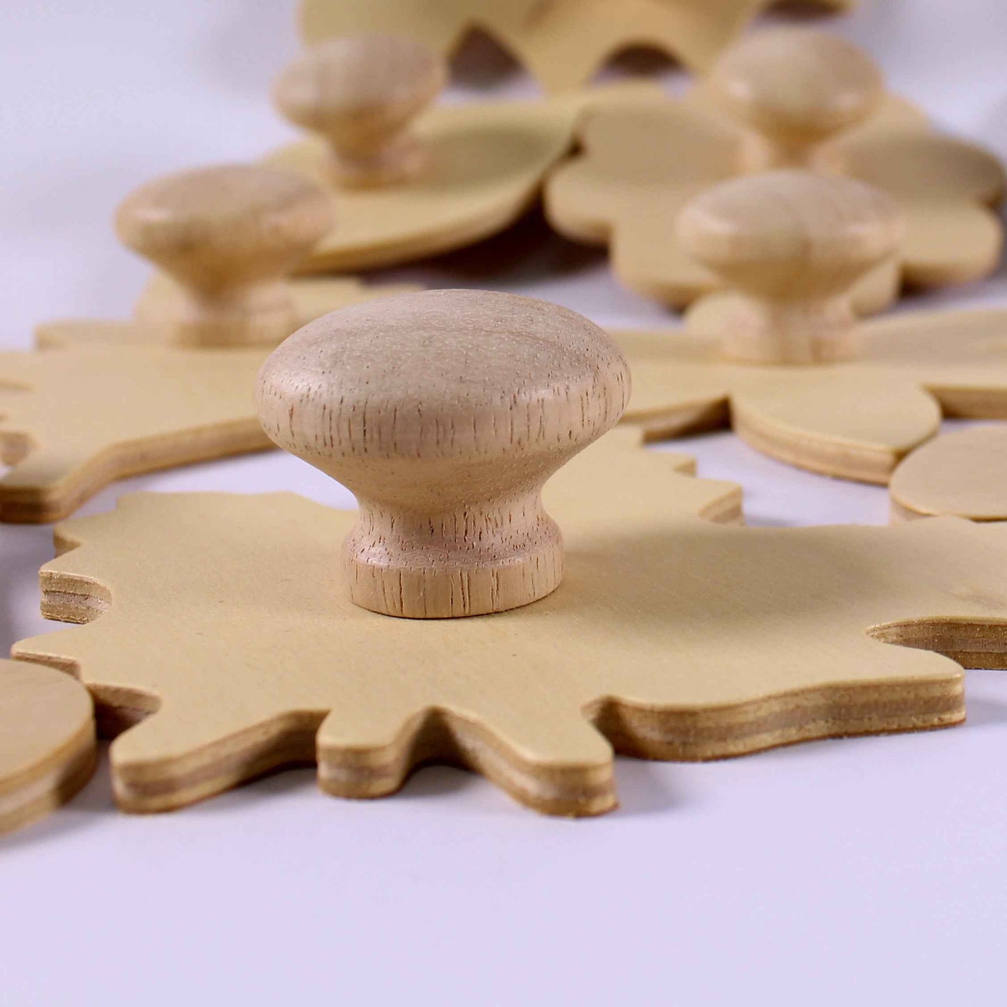 Wooden Leaf and Flower Stencils Pack of 14