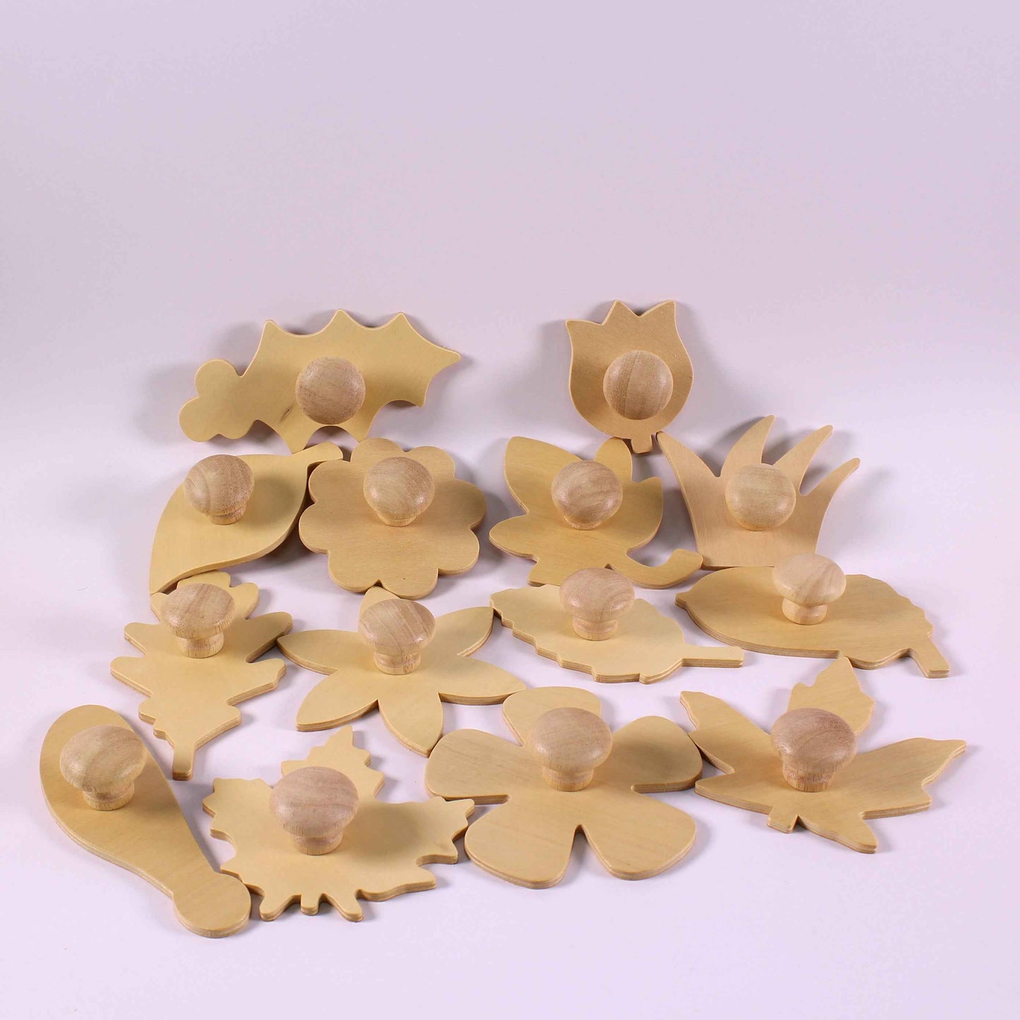 Wooden Leaf and Flower Stencils Pack of 14